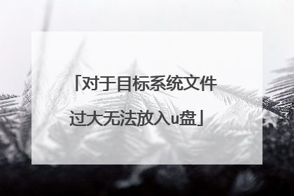 ����Ŀ��ϵͳ�ļ������޷�����u��