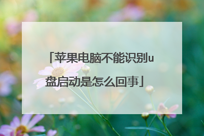 ƻ�����Բ���ʶ��u����������ô����