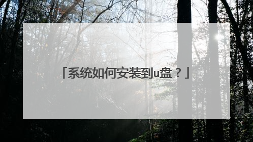 ϵͳ��ΰ�װ��u�̣�