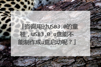 咨询用过USB3.0的童鞋,USB3.0?u盘能不能制作成u盘启动呢?