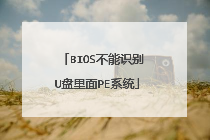 BIOS����ʶ��U������PEϵͳ