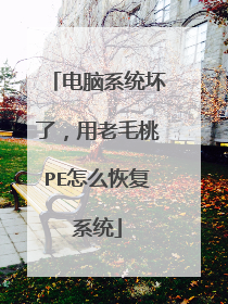 ����ϵͳ���ˣ�����ë��PE��ô�ָ�ϵͳ