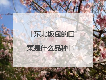 ���������İײ���ʲôƷ��