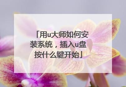 ��u��ʦ��ΰ�װϵͳ������u�̰�ʲô����ʼ