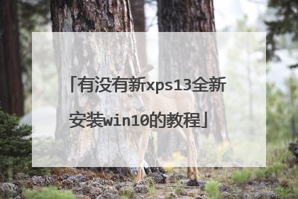 ��û����xps13ȫ�°�װwin10�Ľ̳�