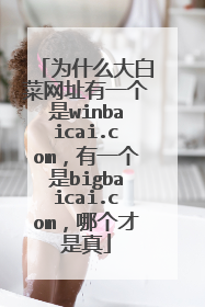 Ϊʲô��ײ���ַ��һ����winbaicai.com����һ����bigbaicai.com���ĸ�������