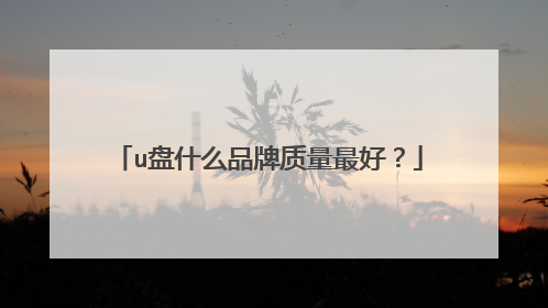 u��ʲôƷ��������ã�