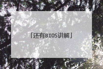 ����BIOS����