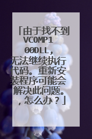 由于找不到VCOMP100DLL,无法继续执行代码。重新安装程序可能会解决此问题。,怎么办?