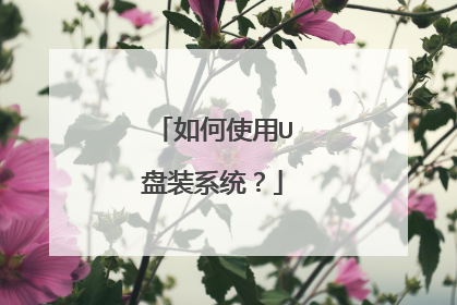 ���ʹ��U��װϵͳ��