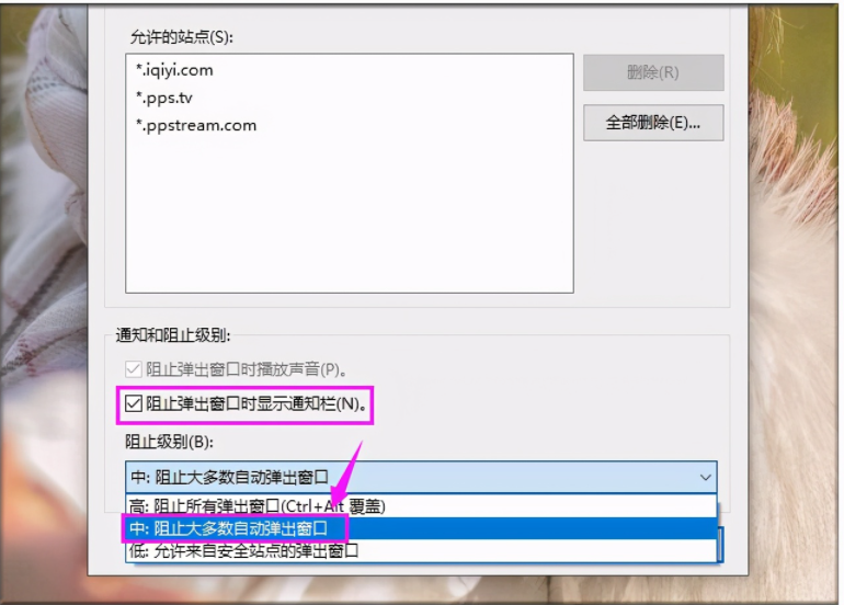 ���Թ�浯��̫����ô���׹رգ�