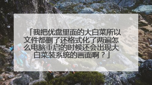 �Ұ���������Ĵ�ײ������ļ���ɾ�˻���ʽ����������ô����������ʱ�򻹻���ִ�ײ�װϵͳ�Ļ��氡��
