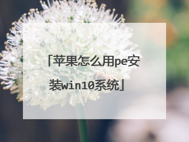 ƻ����ô��pe��װwin10ϵͳ