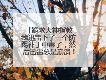跪求大神指教,我迅雷下了一个防踢补丁中毒了,然后迅雷总是崩溃!卸载重新下的也不行!
