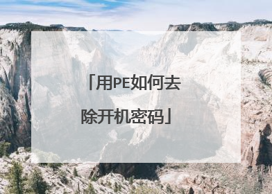 ��PE���ȥ����������