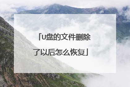 U�̵��ļ�ɾ�����Ժ���ô�ָ�