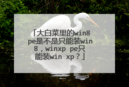 ��ײ����win8 pe�ǲ���ֻ��װwin8��winxp peֻ��װwin xp��