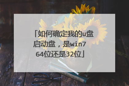 ���ȷ���ҵ�u�������̣���win764λ����32λ