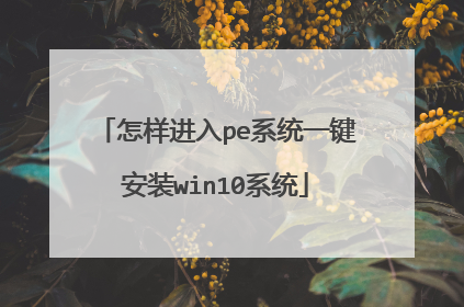 ��������peϵͳһ����װwin10ϵͳ