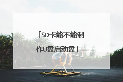 SD���ܲ�������U��������