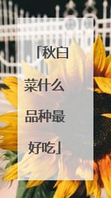 ��ײ�ʲôƷ����ó�