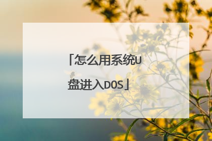 ��ô��ϵͳU�̽���DOS