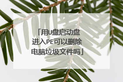 ��U�������� ����PE����ɾ�����������ļ���