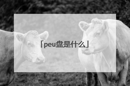 peu����ʲô