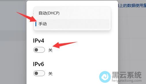 ����ipv4