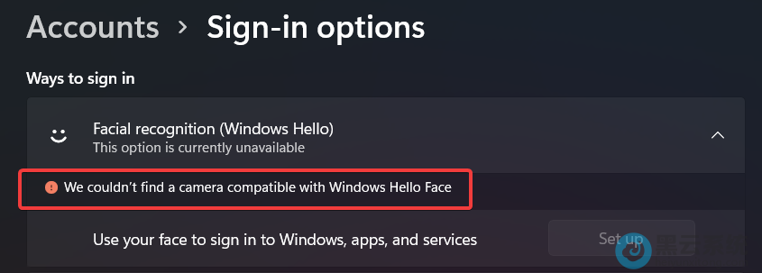�޷������沿ʶ��