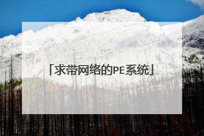 ��������PEϵͳ