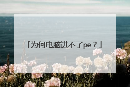 Ϊ�ε��Խ�����pe��