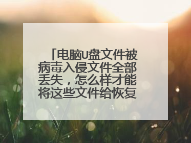 ����U���ļ������������ļ�ȫ����ʧ����ô�����ܽ���Щ�ļ����ָ�������