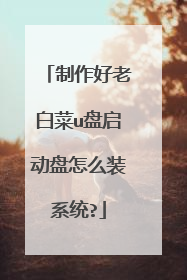 制作好老白菜u盘启动盘怎么装系统?