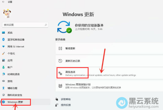 ����߼�ѡ��