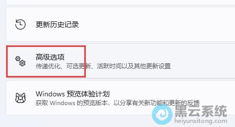 ����߼�ѡ��