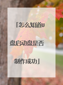 ��ô֪��U���������Ƿ������ɹ�