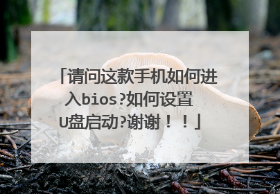请问这款手机如何进入bios?如何设置U盘启动?谢谢!!
