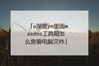 u���pe����maxdos��������ô�鿴�����ļ�