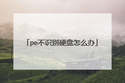 pe��ʶ��Ӳ����ô��