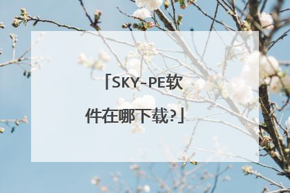 SKY-PE������������?