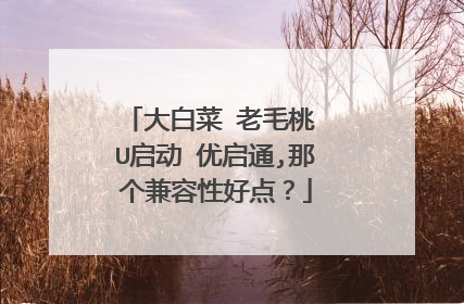 ��ײ� ��ë�� U���� ����ͨ,�Ǹ������Ժõ㣿