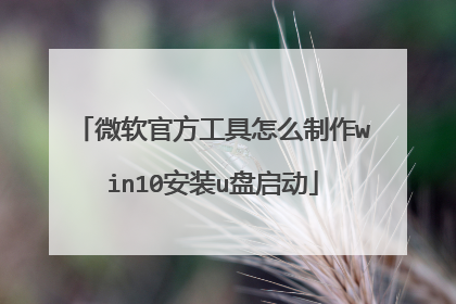 ΢���ٷ�������ô����win10��װu������