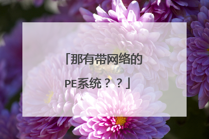 ���д������PEϵͳ����