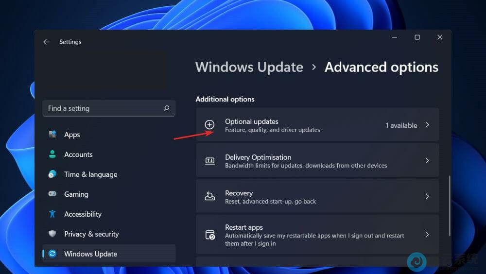 ���options updates