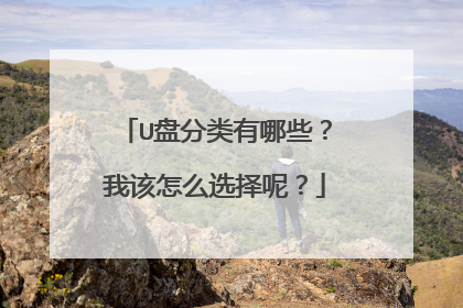 U�̷�������Щ���Ҹ���ôѡ���أ�