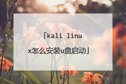 kali linux��ô��װu������