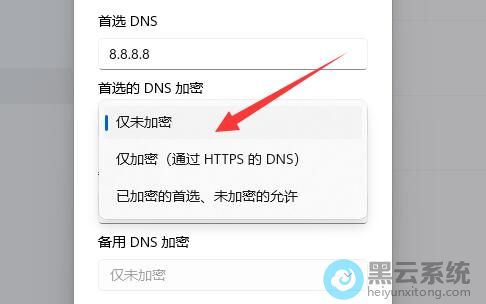 ѡ�������