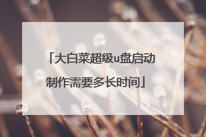 大白菜超级u盘启动制作需要多长时间
