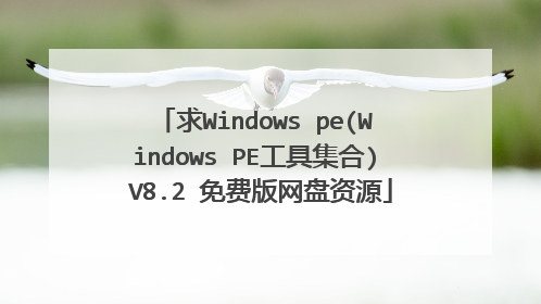 ��Windows pe(Windows PE���߼���) V8.2 ��Ѱ�������Դ